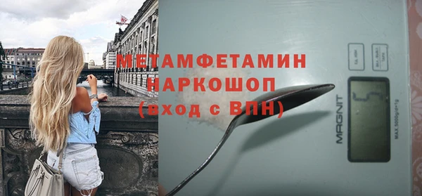 амф Гусев