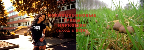 герыч Дмитровск