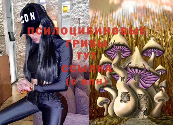 герыч Дмитровск