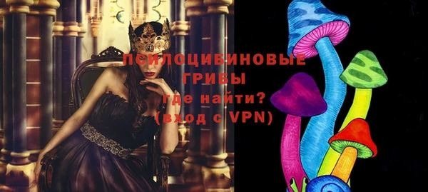 гидра Дмитриев