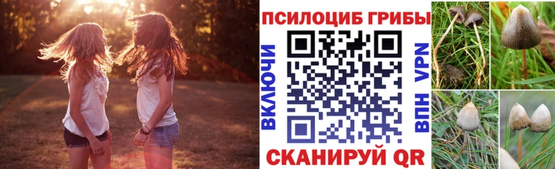 мега зеркало  Новочебоксарск  Галлюциногенные грибы прущие грибы  наркотики 